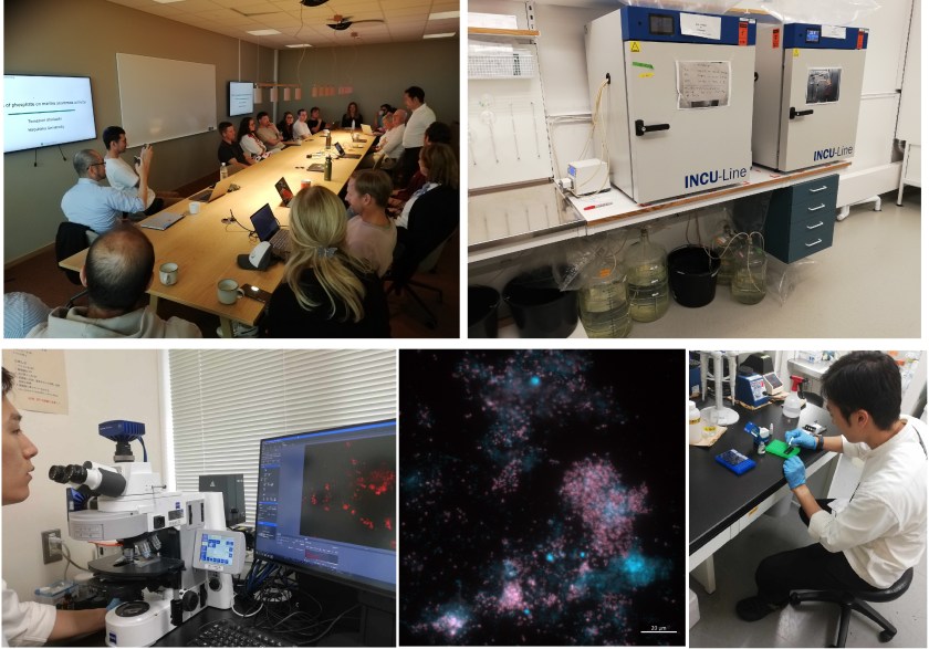 MARTINIS AUGUST SEPT