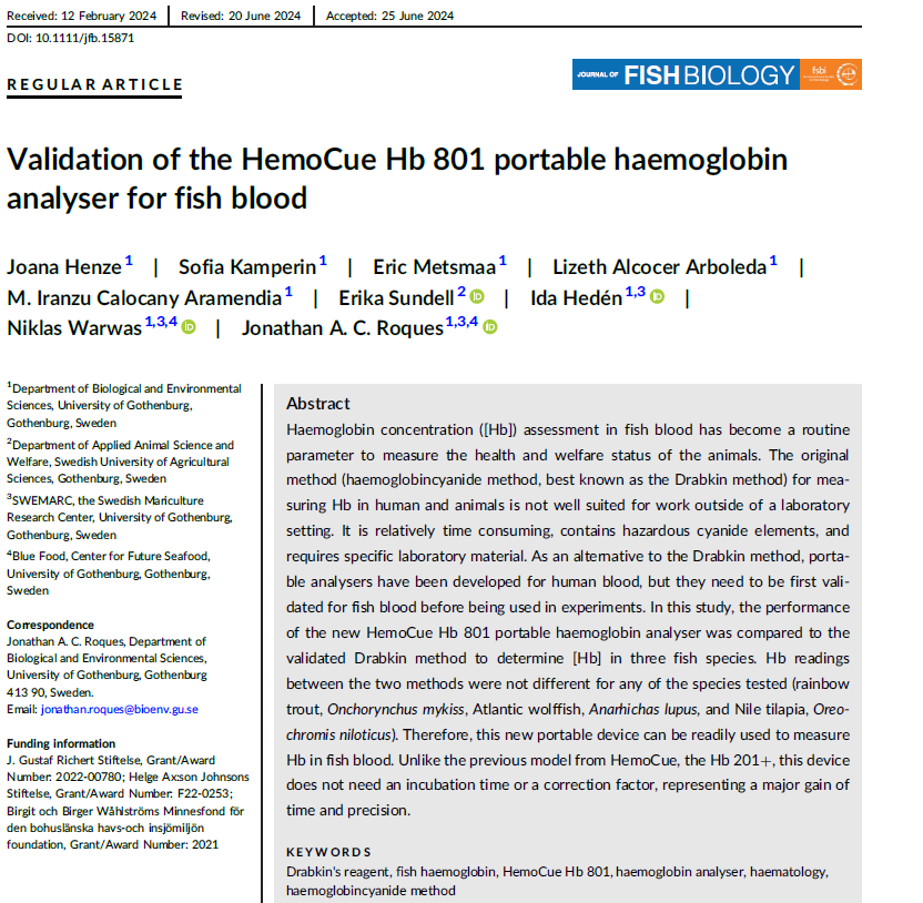 Skärmbild 2024-08-02 115419