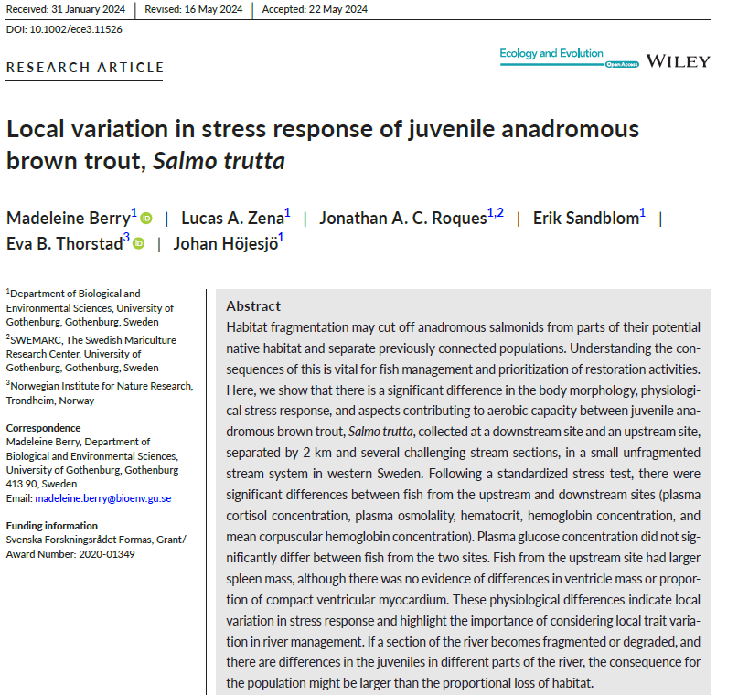 Skärmbild 2024-08-02 115438
