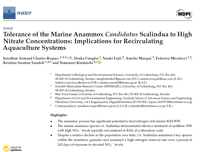 Skärmbild 2024-12-22 204319
